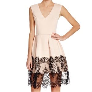 Mustard Seed lace trim fit and flair dress